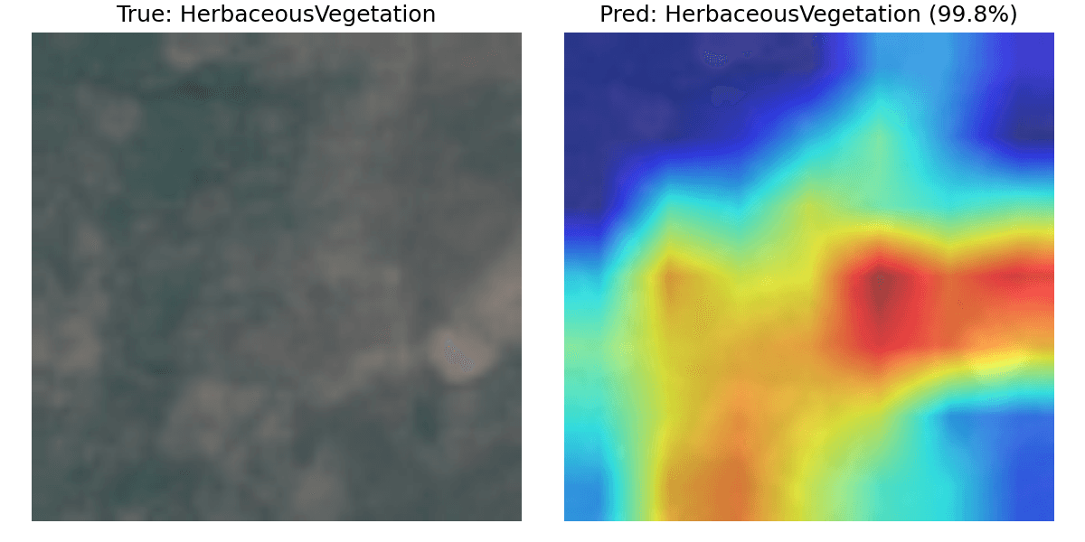 Grad-CAM example on a correctly classified RGB image